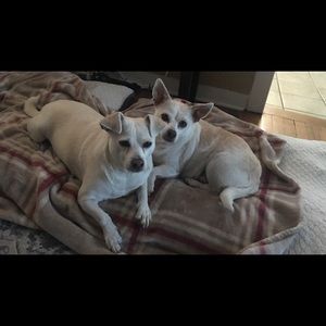 Meet your Posher, Margaret